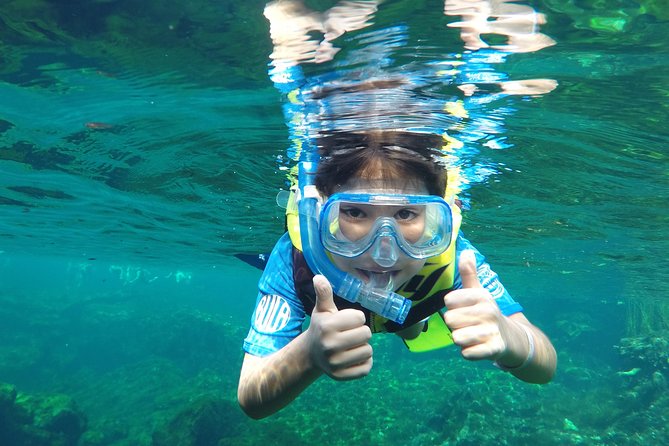 VIP Cenotes Private Tour - Three cenotes, three different moods