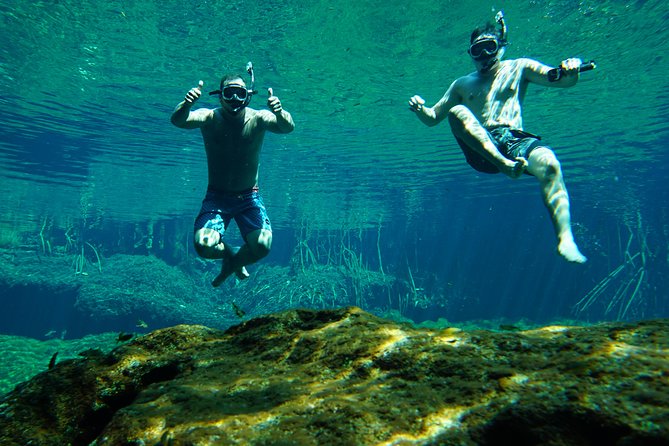 VIP Cenotes Private Tour - Why a private guide changes the day