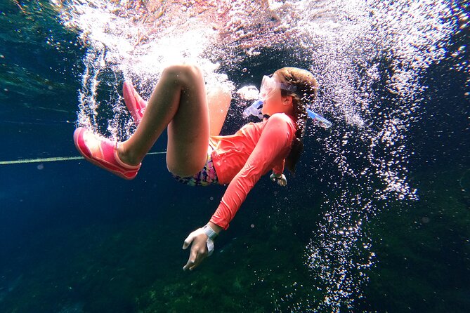 VIP Cenotes Private Tour (half-day) - The private ride from your hotel