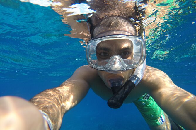 VIP Cenotes Private Tour (half-day) - Practical tips before you book