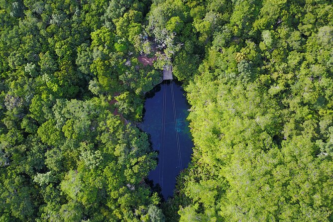 VIP Cenotes & Turtles Private Tour - Cenote Xunaan Ha: open water in the jungle