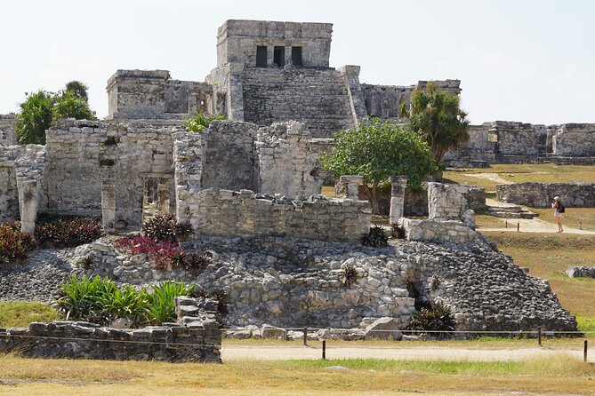 VIP Tulum & Turtles Private Tour - Who should book this tour?