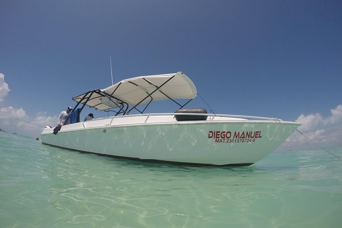 Whale shark encounter Private tour - swim with whale shark cancun - Swimming in two-person rounds