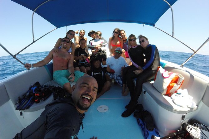 Whale shark encounter Private tour - swim with whale shark cancun - What the $975 price means