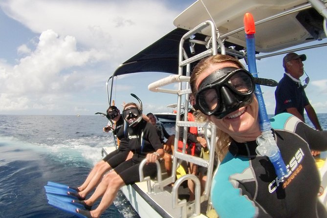 Whale shark encounter Private tour - swim with whale shark cancun - Who will enjoy this private outing