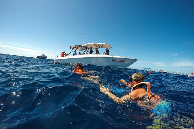 Whale Shark Snorkeling Adventure with Lunch - Guides, photos, and the human side of the trip