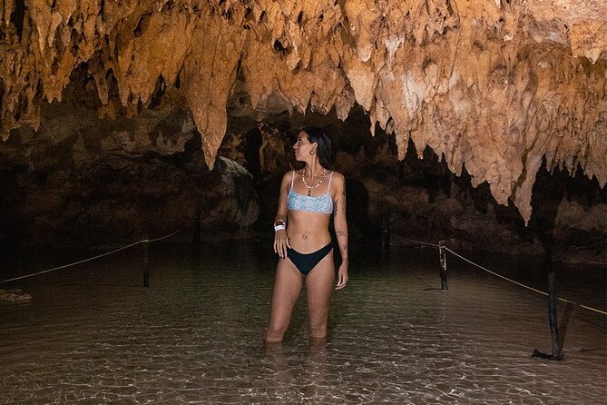 Wild Jungle ATV Adventure with Cenote and Monkey Sanctuary - Meeting rescued monkeys and other animals