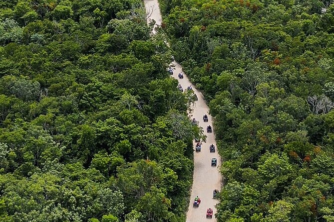 Wild Jungle ATV Adventure with Cenote and Monkey Sanctuary - Lunch, gear, and what the $169 price covers