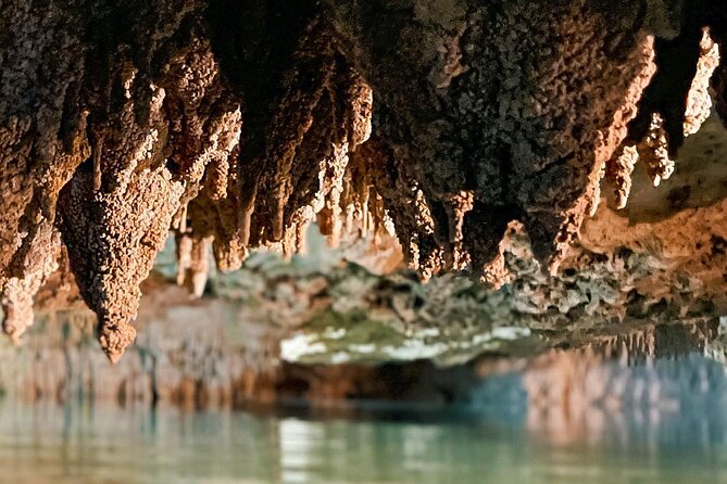 Wild Jungle ATV Adventure with Cenote and Monkey Sanctuary - Who will enjoy this Akumal excursion