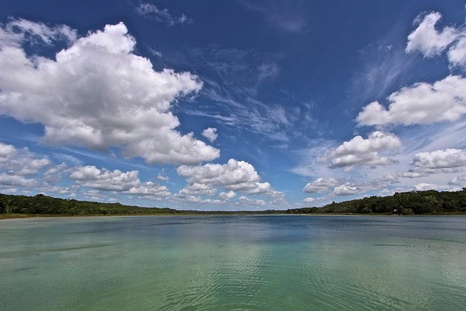 Wild Monkey Adventure (Private, Full Day) - A natural cenote, with a ladder worth considering