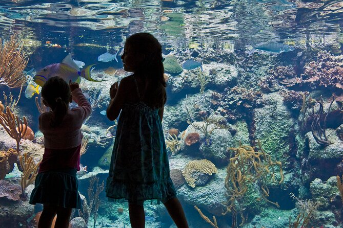 Xcaret Park Plus Access with Transportation and Night Show - Cultural performances before the night show
