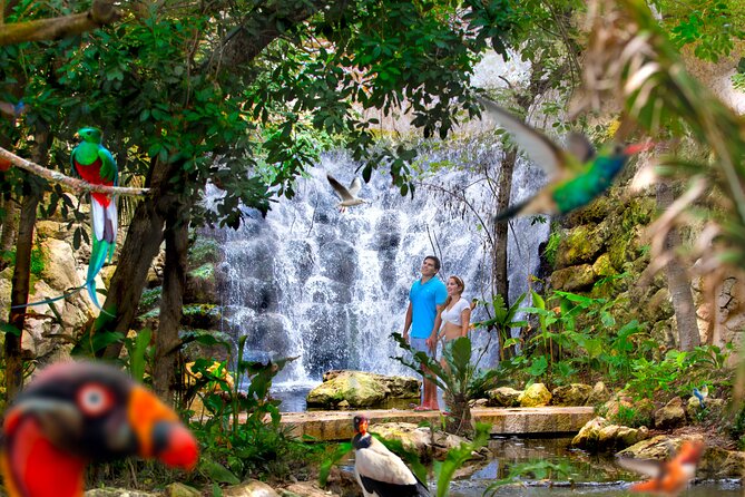 Xcaret Park Plus Access with Transportation and Night Show - Xcaret México Espectacular after dark