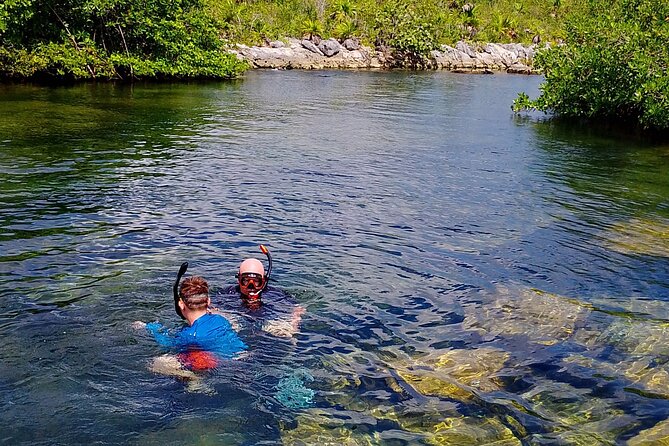 Yalku lagoon and turtles akumal sanctuary - Key points to know before booking